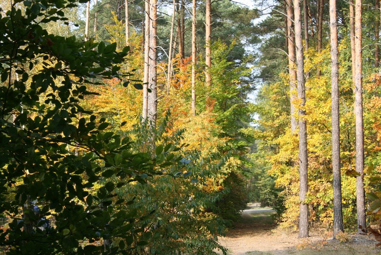 Дома для отпуска Agroturystyka Zatom Stary Zatom Stary-27