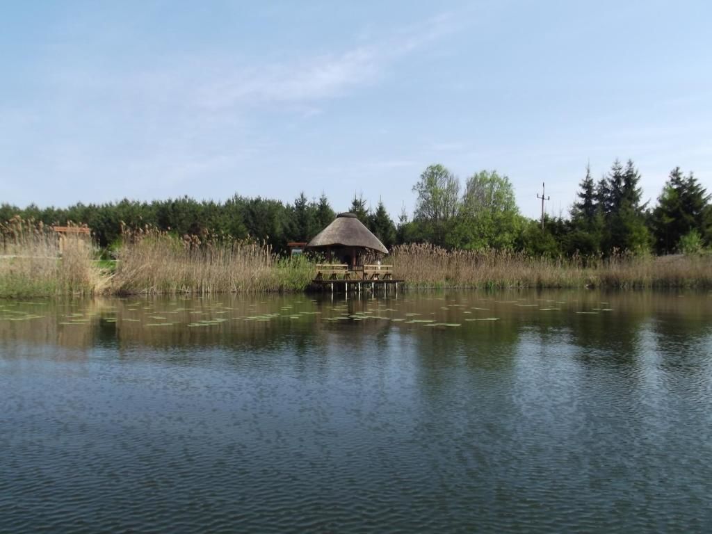 Дома для отпуска Agroturystyka Zatom Stary Zatom Stary-67